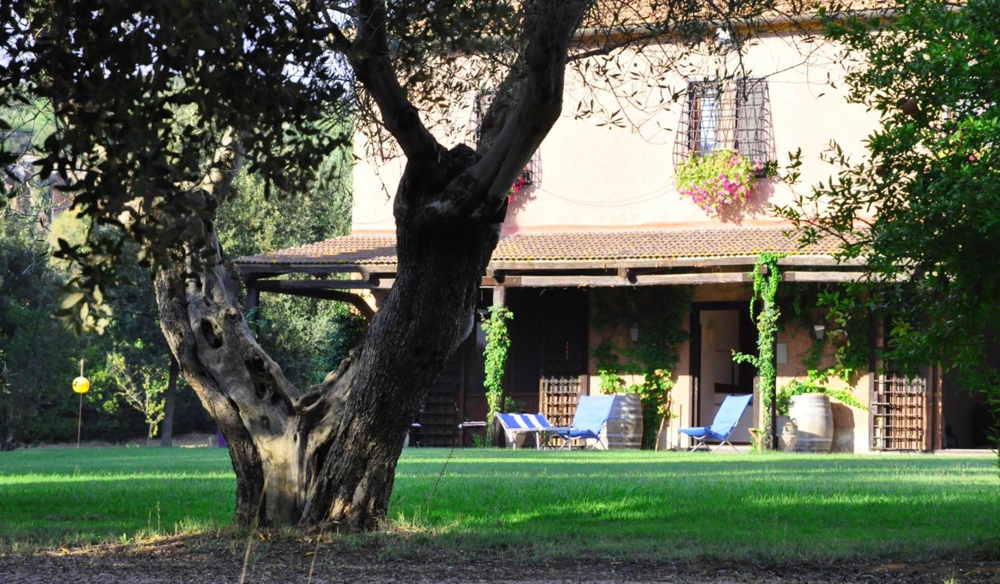Agriturismo Podere Sant' Antonio Alberese Exterior foto