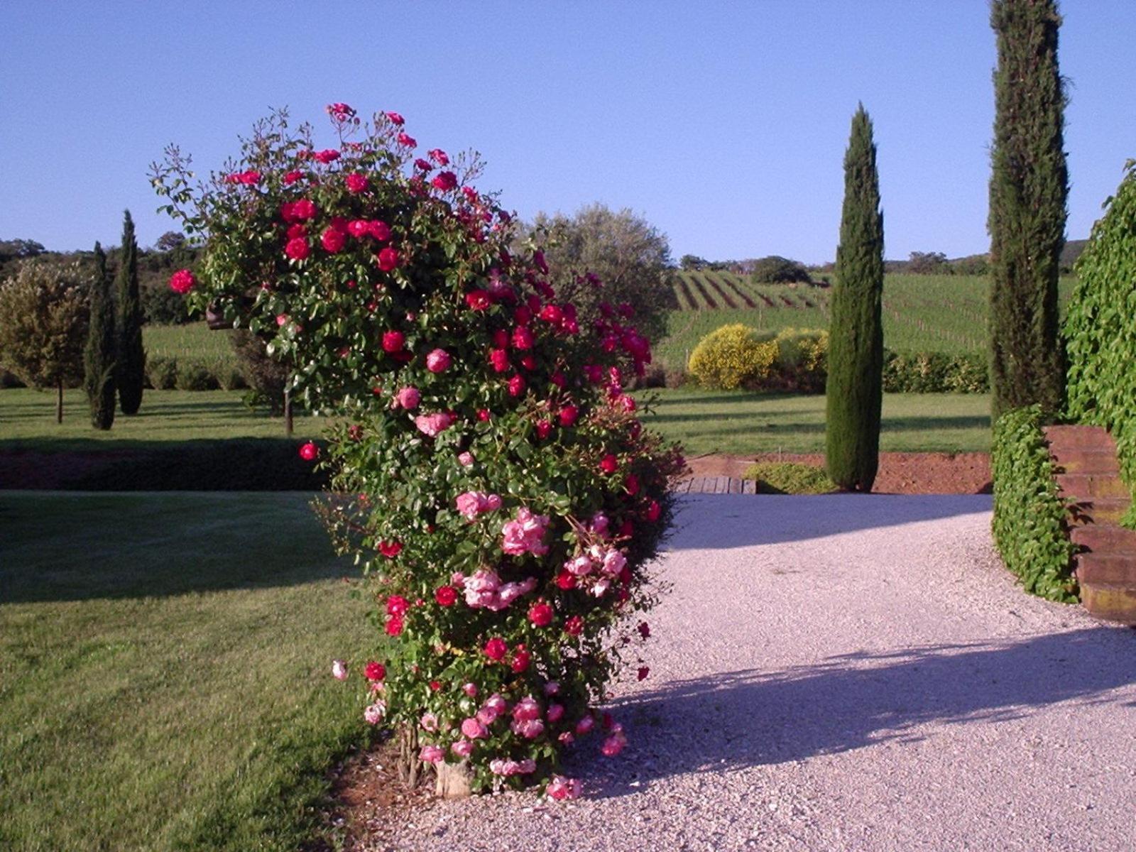 Agriturismo Podere Sant' Antonio Alberese Exterior foto