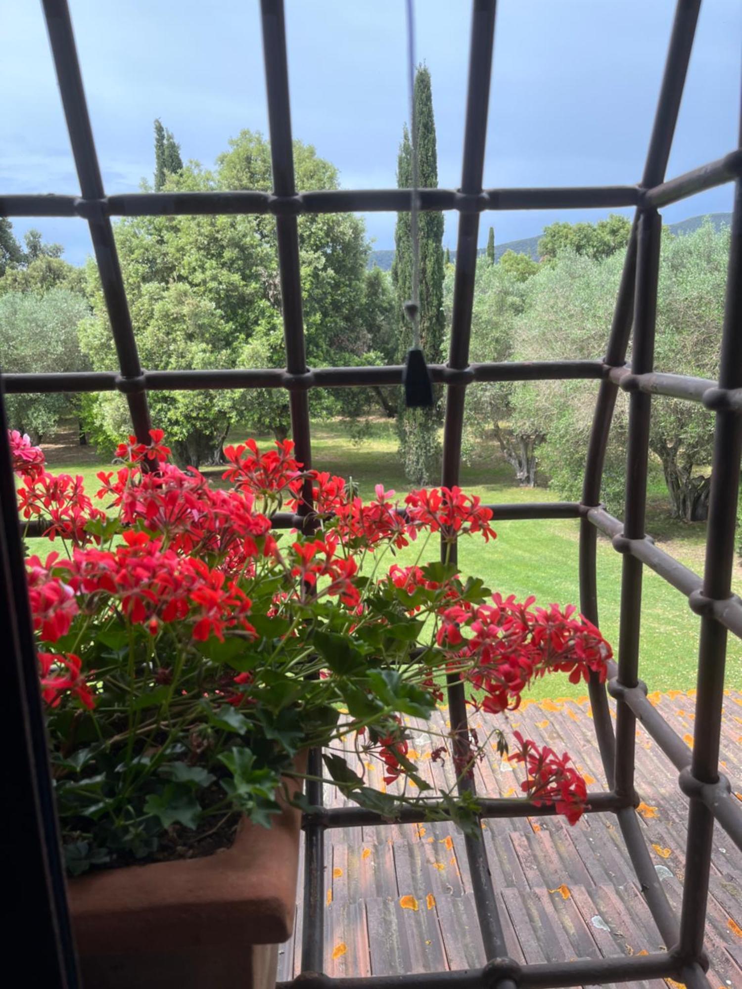 Agriturismo Podere Sant' Antonio Alberese Exterior foto