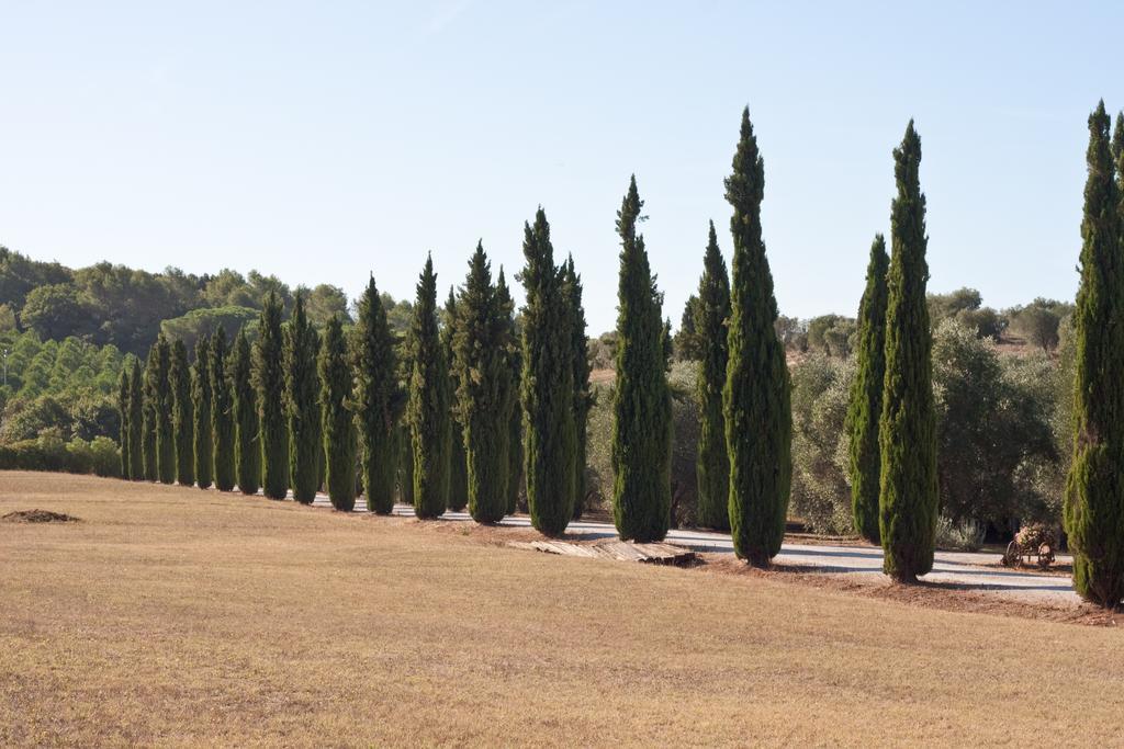 Agriturismo Podere Sant' Antonio Alberese Exterior foto